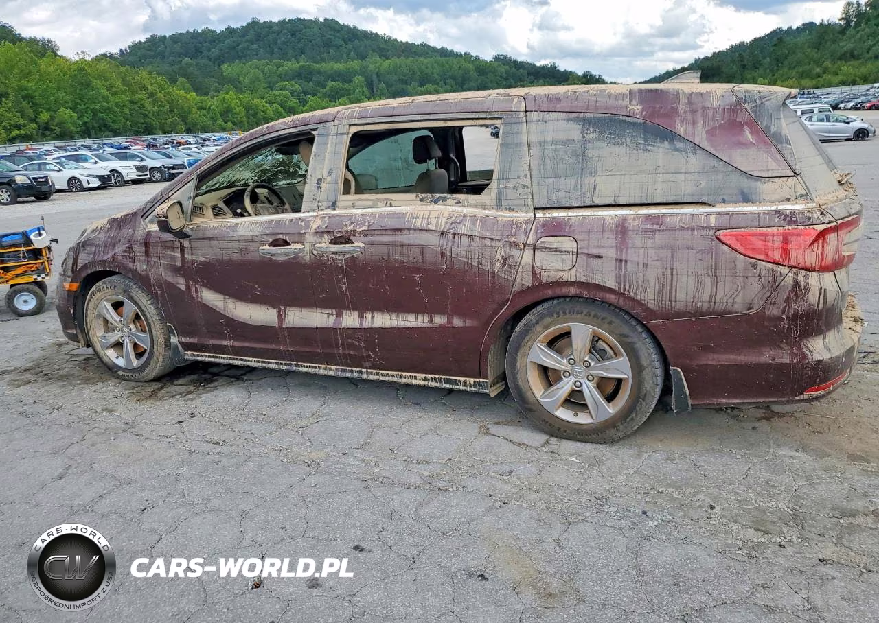 2020 Honda Odyssey Exl VIN:5FNRL6H75LB024318 - 2