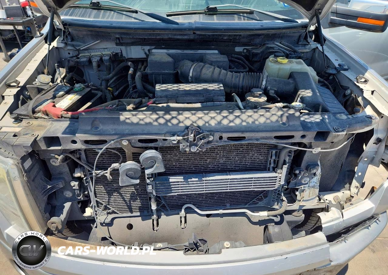 2013 Ford F150 Supercrew VIN:1FTFW1E64DFD81852 - 11