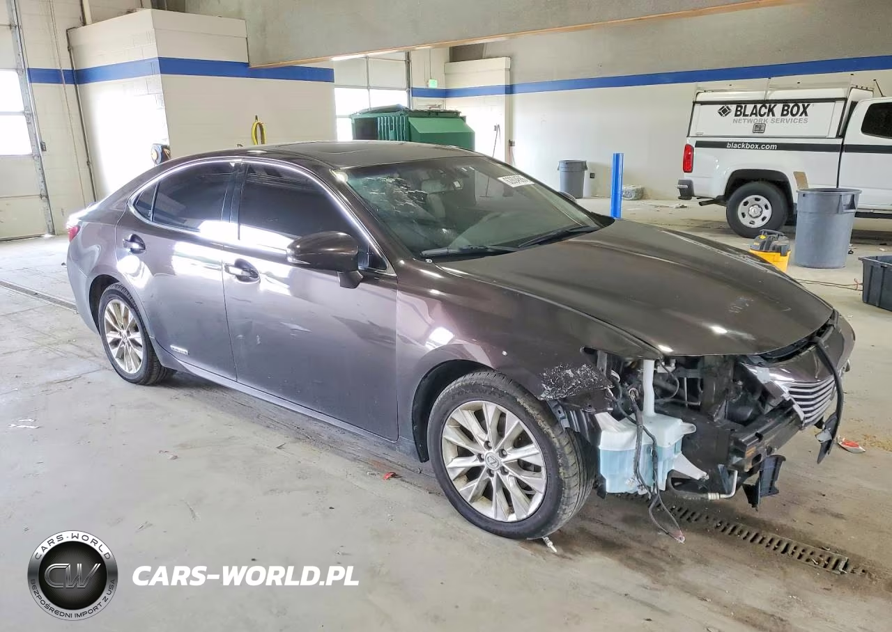 2013 Lexus Es 300H VIN:JTHBW1GG9D2000362 - 4
