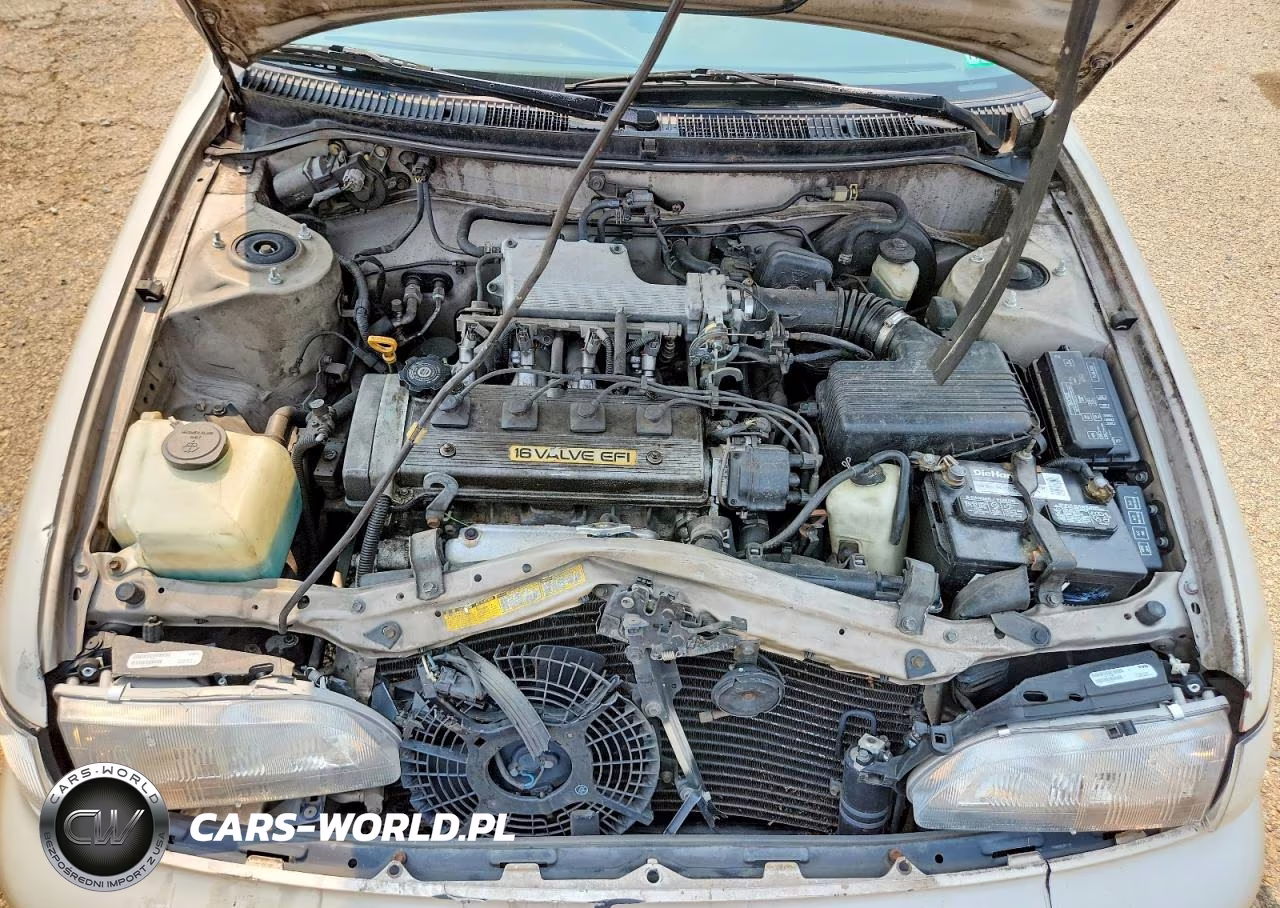 1994 Toyota Corolla Dx VIN:2T1AE09BXRC073731 - 11