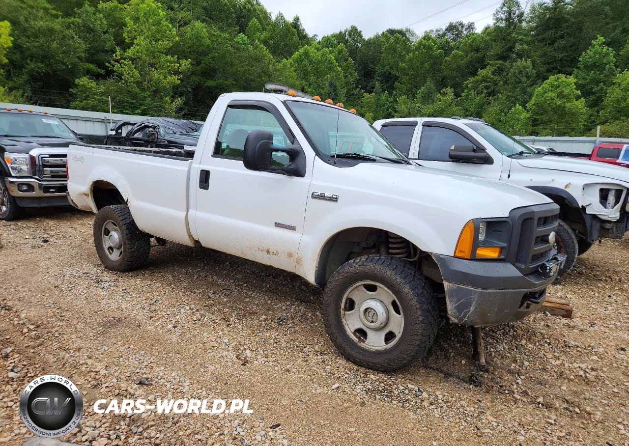 2005 Ford F350 Srw Super Duty VIN:1FTWF31P35ED17352 - 4
