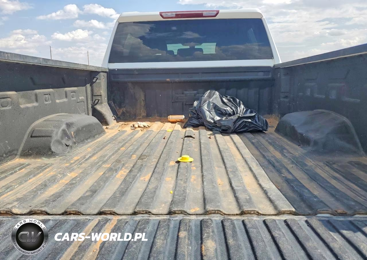 2021 Chevrolet Silverado K2500 Heavy Duty Lt VIN:1GC4YNEY2MF306853 - 10