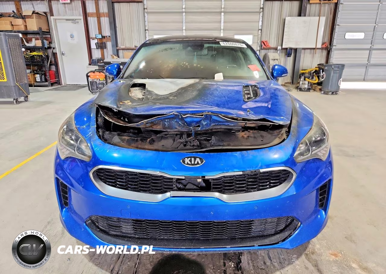 2018 Kia Stinger Premium VIN:KNAE25LA7J6017052 - 5
