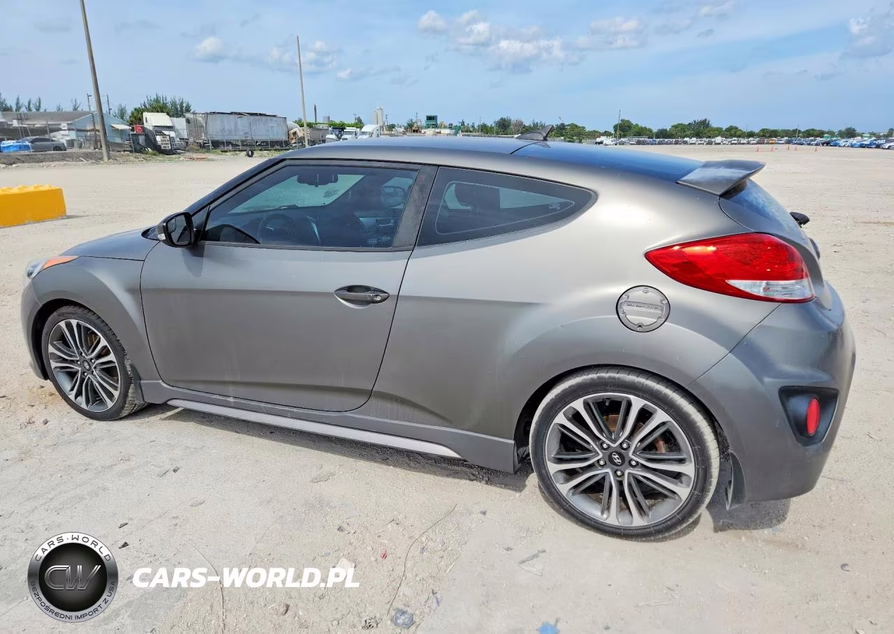 2016 Hyundai Veloster Turbo VIN:KMHTC6AE6GU272438 - 2