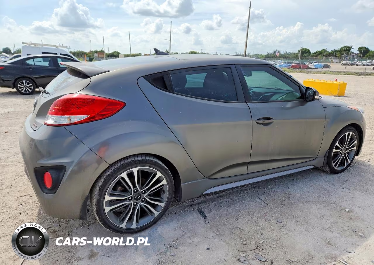 2016 Hyundai Veloster Turbo VIN:KMHTC6AE6GU272438 - 3