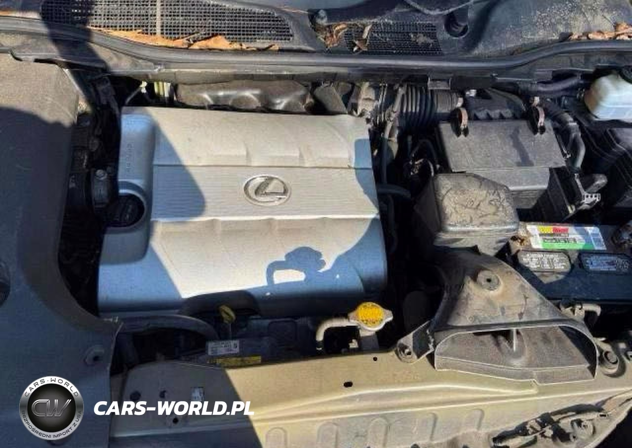 2010 Lexus Rx 350 VIN:2T2BK1BA4AC020690 - 7