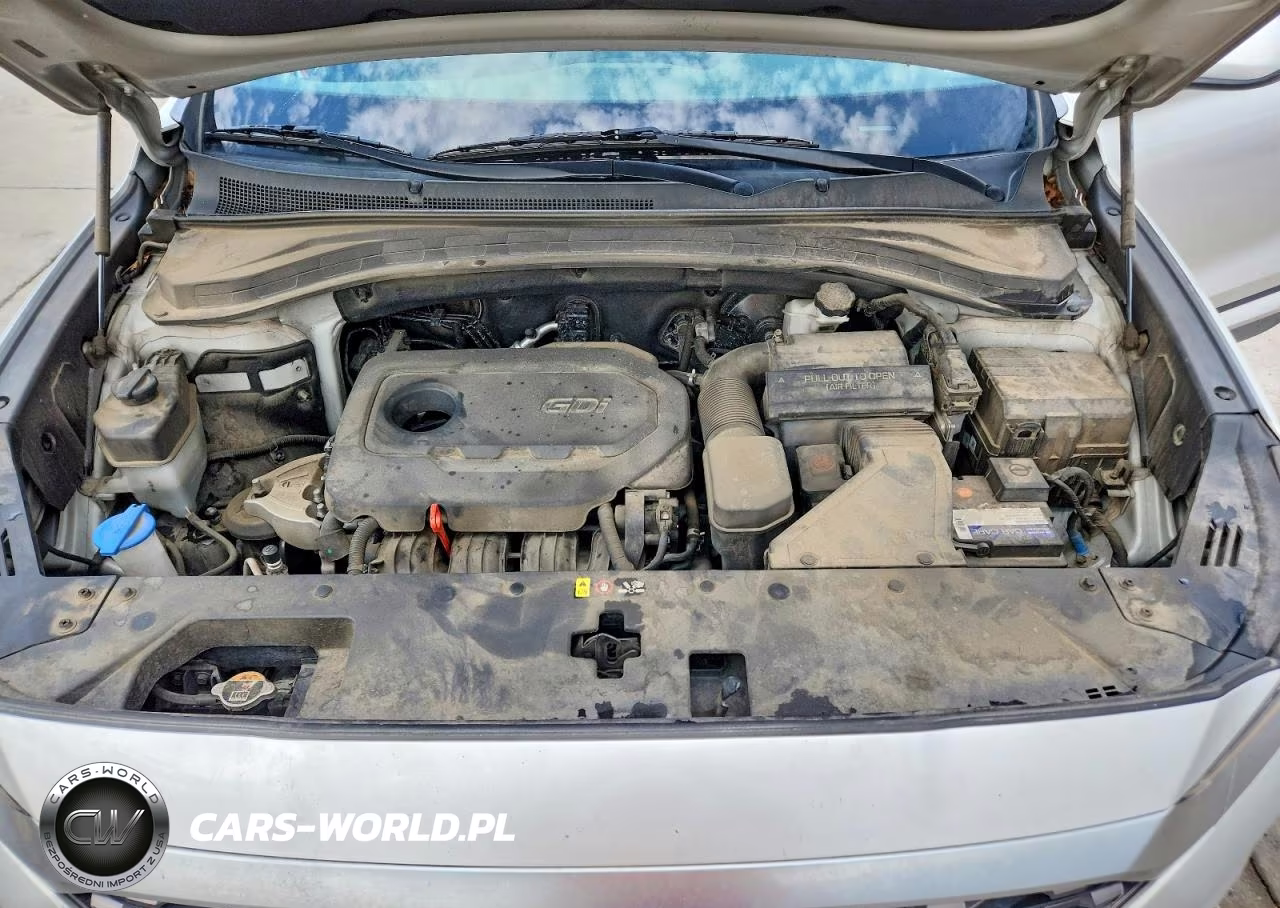2019 Hyundai Santa Fe Se VIN:5NMS2CAD3KH119217 - 12