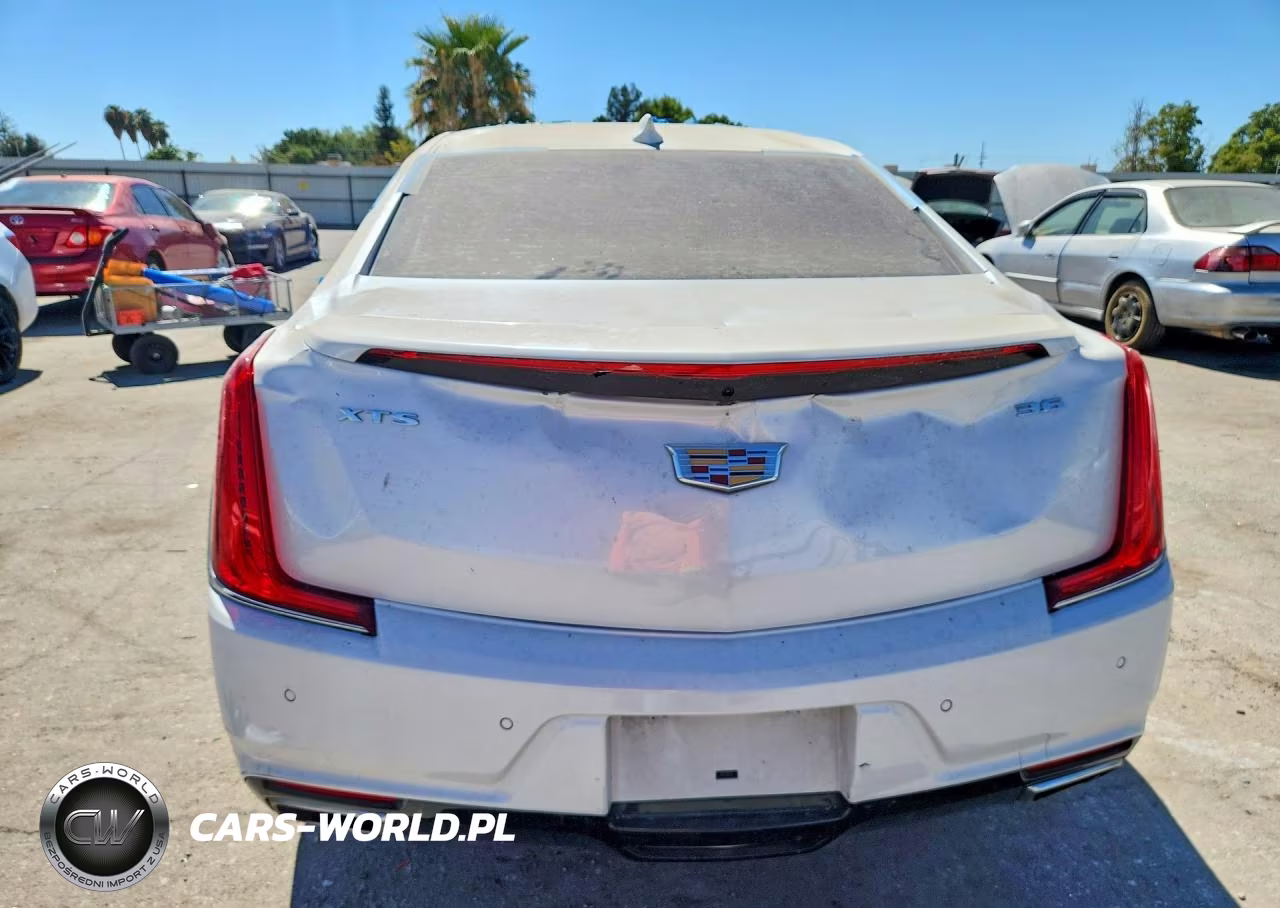2018 Cadillac Xts Premium Luxury VIN:2G61P5S32J9122289 - 6