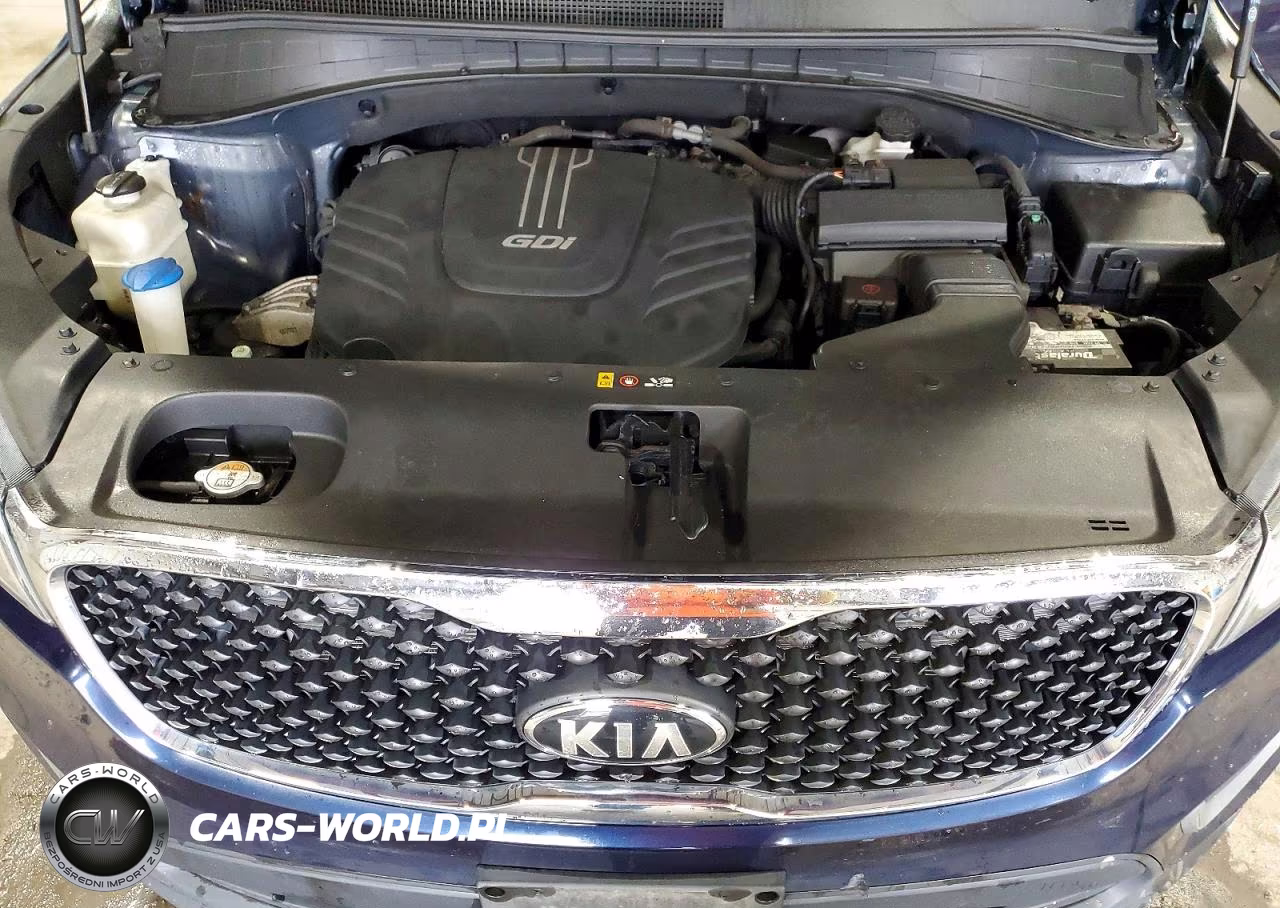 2017 Kia Sorento Lx V6 VIN:5XYPGDA50HG293237 - 12