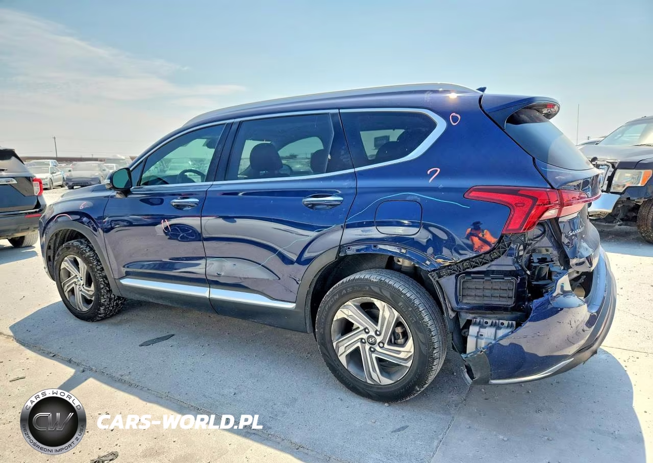 2023 Hyundai Santa Fe Sel Premium VIN:5NMS3DAJ8PH568179 - 2