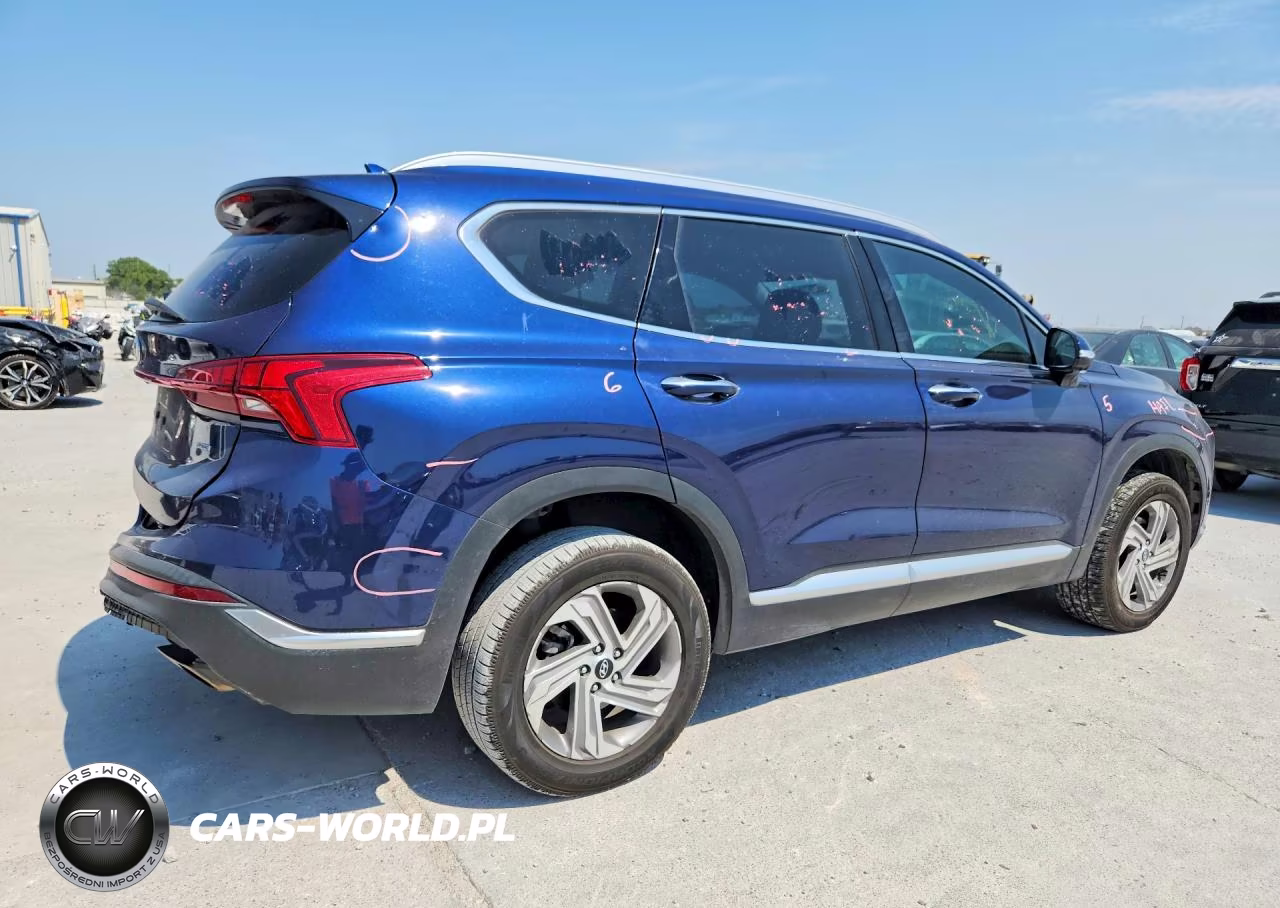 2023 Hyundai Santa Fe Sel Premium VIN:5NMS3DAJ8PH568179 - 3