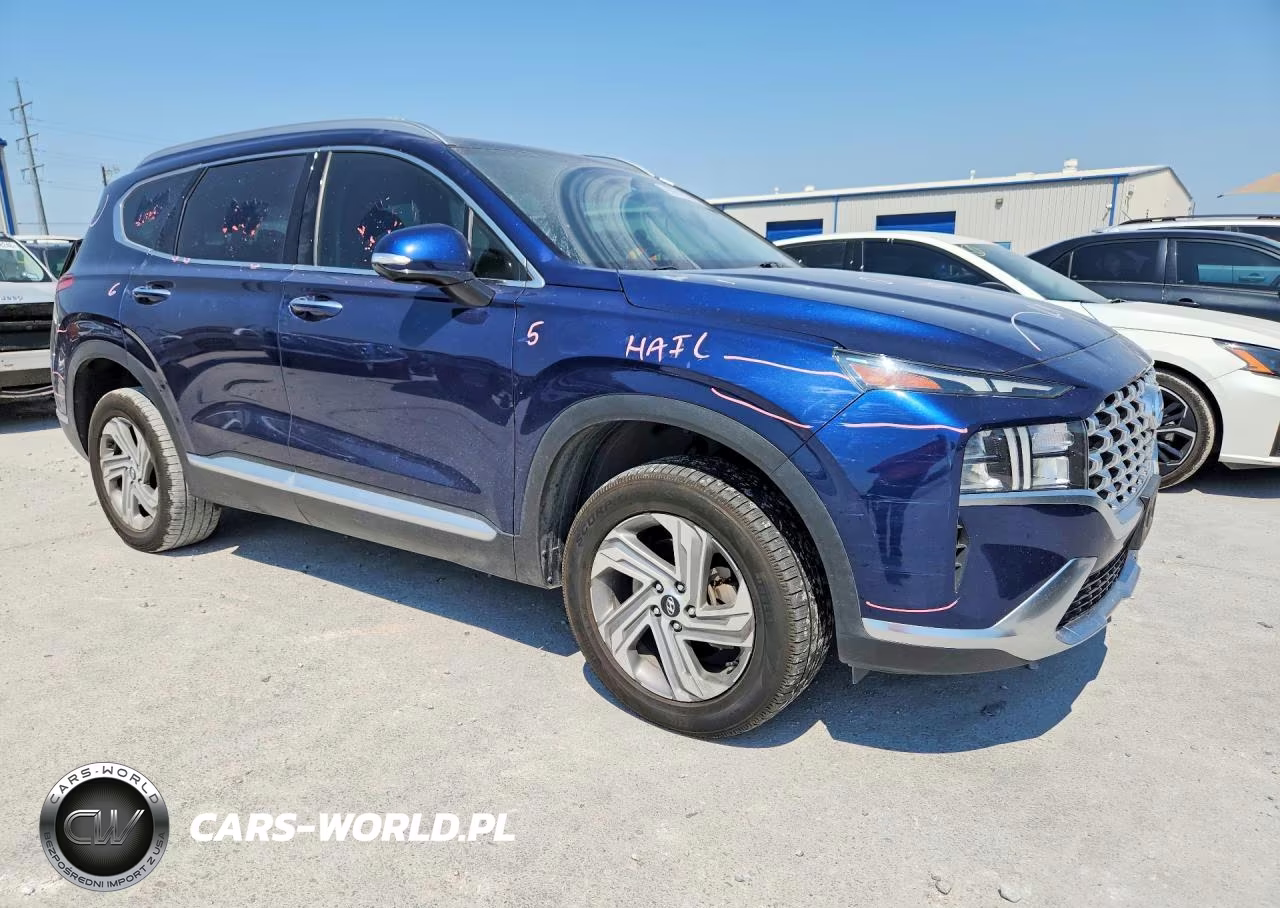 2023 Hyundai Santa Fe Sel Premium VIN:5NMS3DAJ8PH568179 - 4