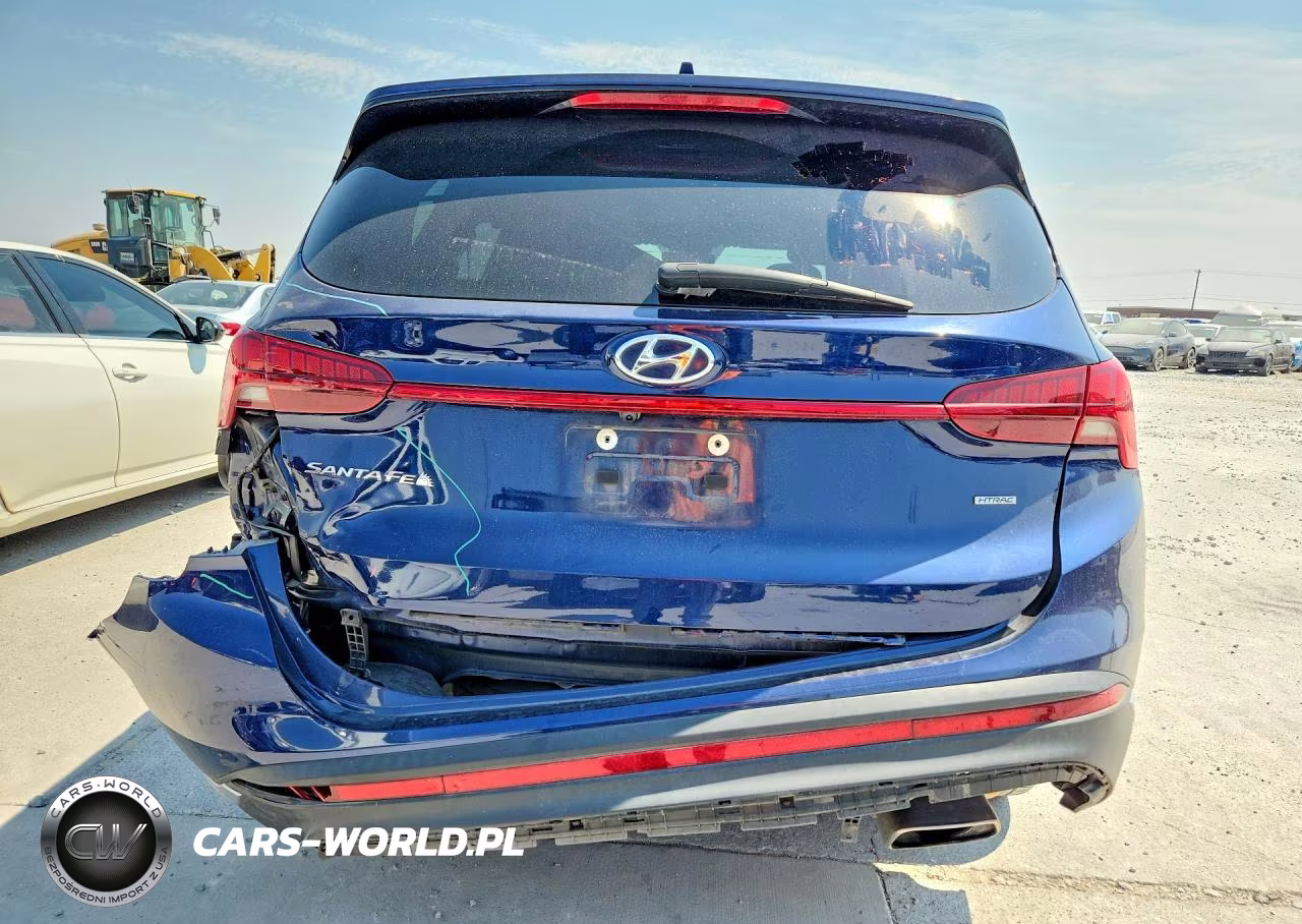 2023 Hyundai Santa Fe Sel Premium VIN:5NMS3DAJ8PH568179 - 6