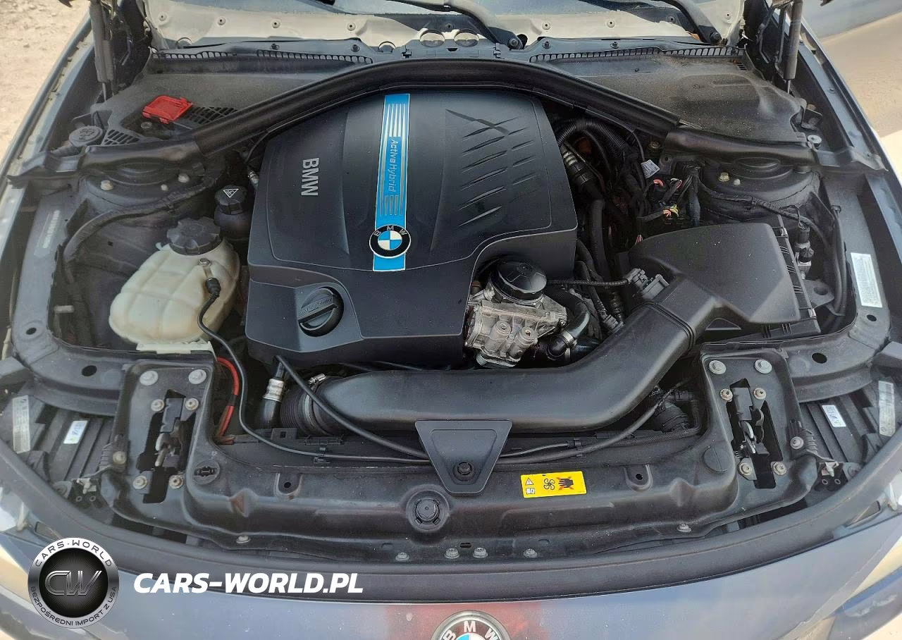 2013 BMW Activehybrid 3 VIN:WBA3F9C54DF145260 - 11