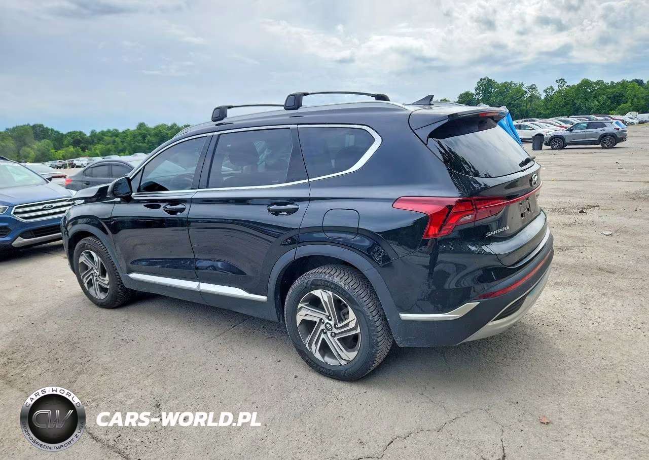 2021 Hyundai Santa Fe Sel VIN:5NMS2DAJ7MH348594 - 2