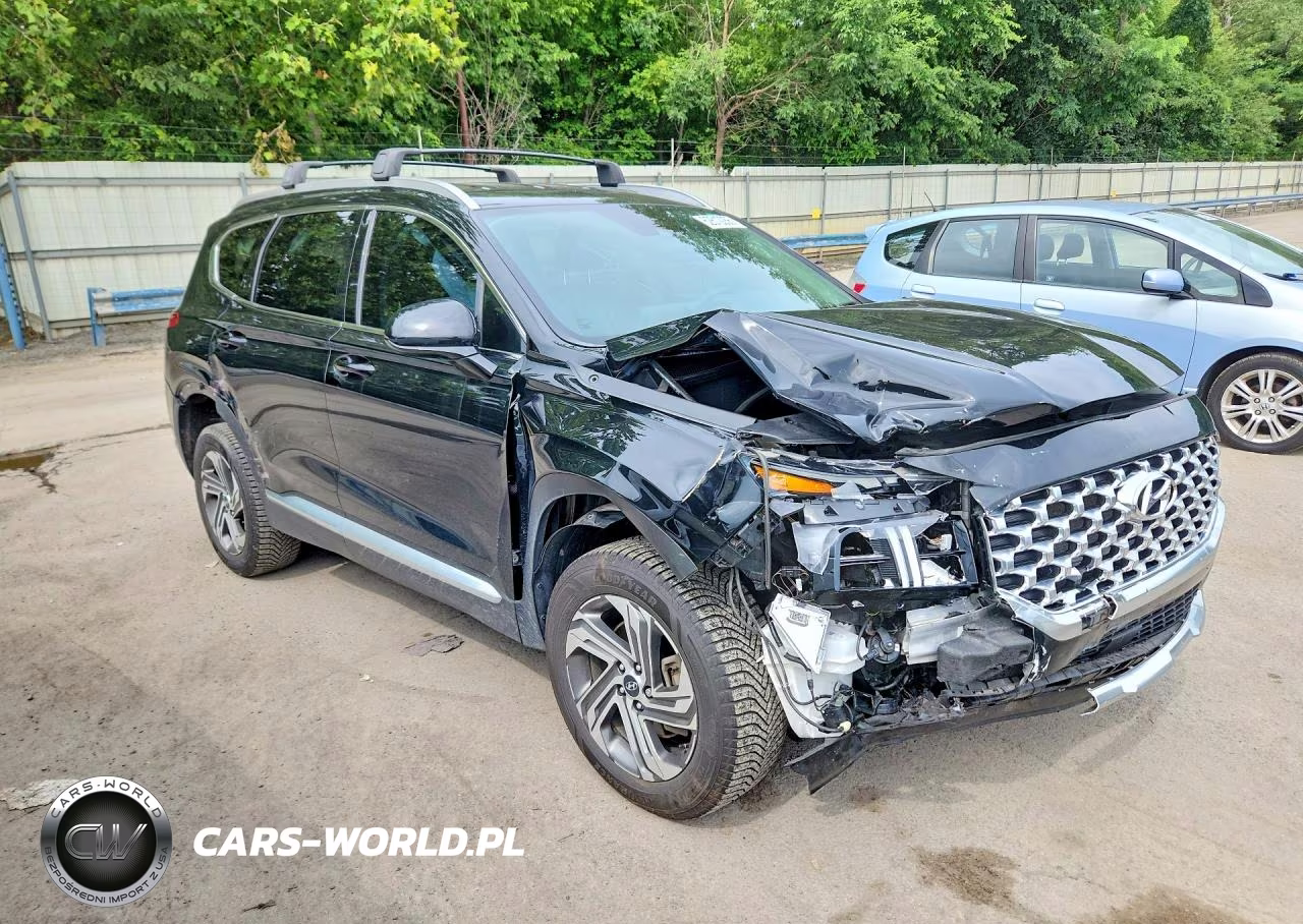 2021 Hyundai Santa Fe Sel VIN:5NMS2DAJ7MH348594 - 4