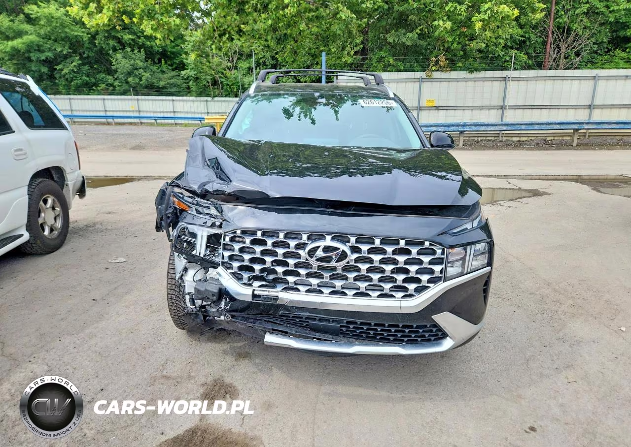 2021 Hyundai Santa Fe Sel VIN:5NMS2DAJ7MH348594 - 5