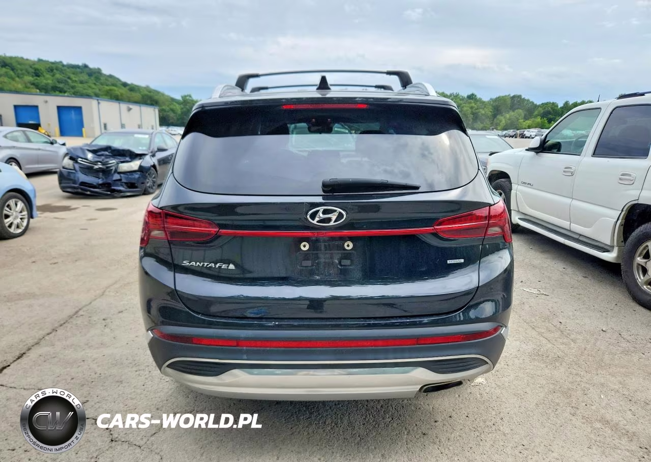 2021 Hyundai Santa Fe Sel VIN:5NMS2DAJ7MH348594 - 6