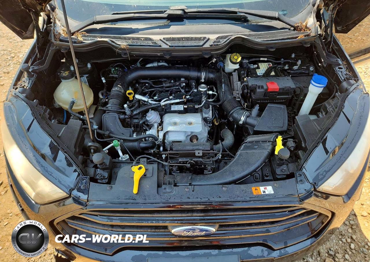 2018 Ford Ecosport S VIN:MAJ3P1RE8JC175065 - 12