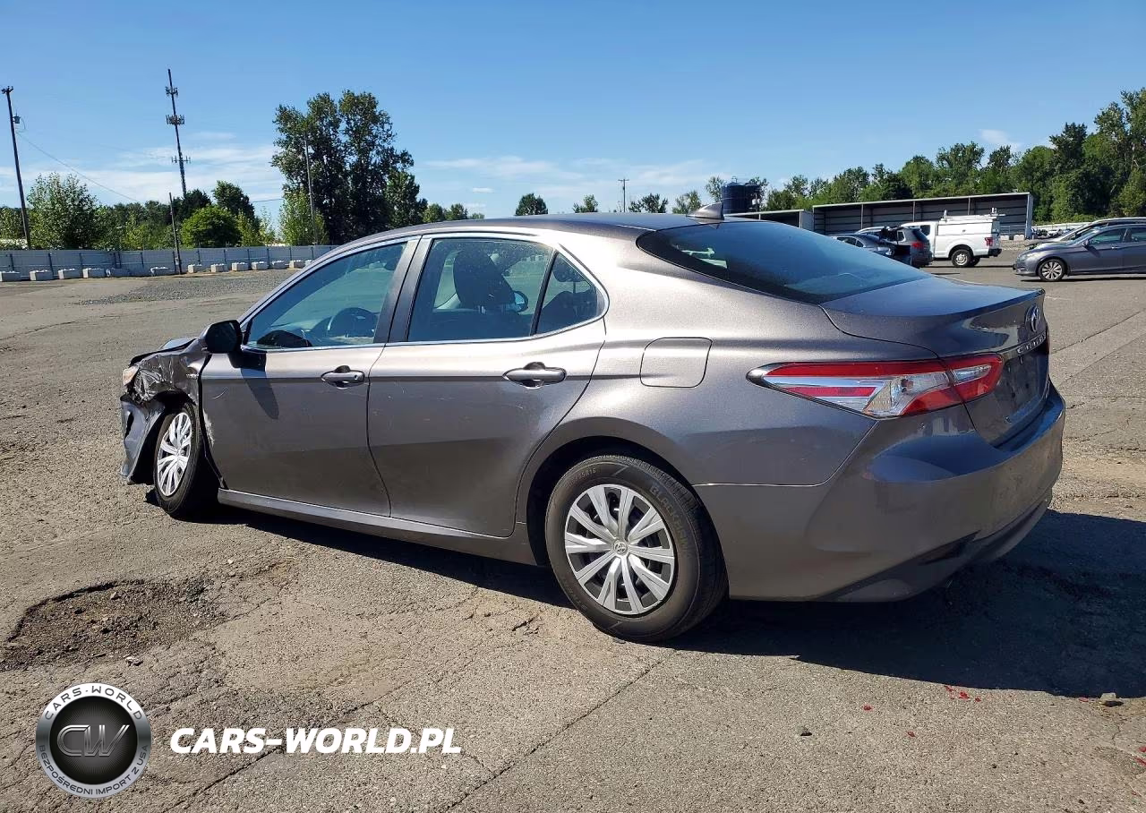 2020 Toyota Camry Le VIN:4T1C31AK5LU532816 - 2
