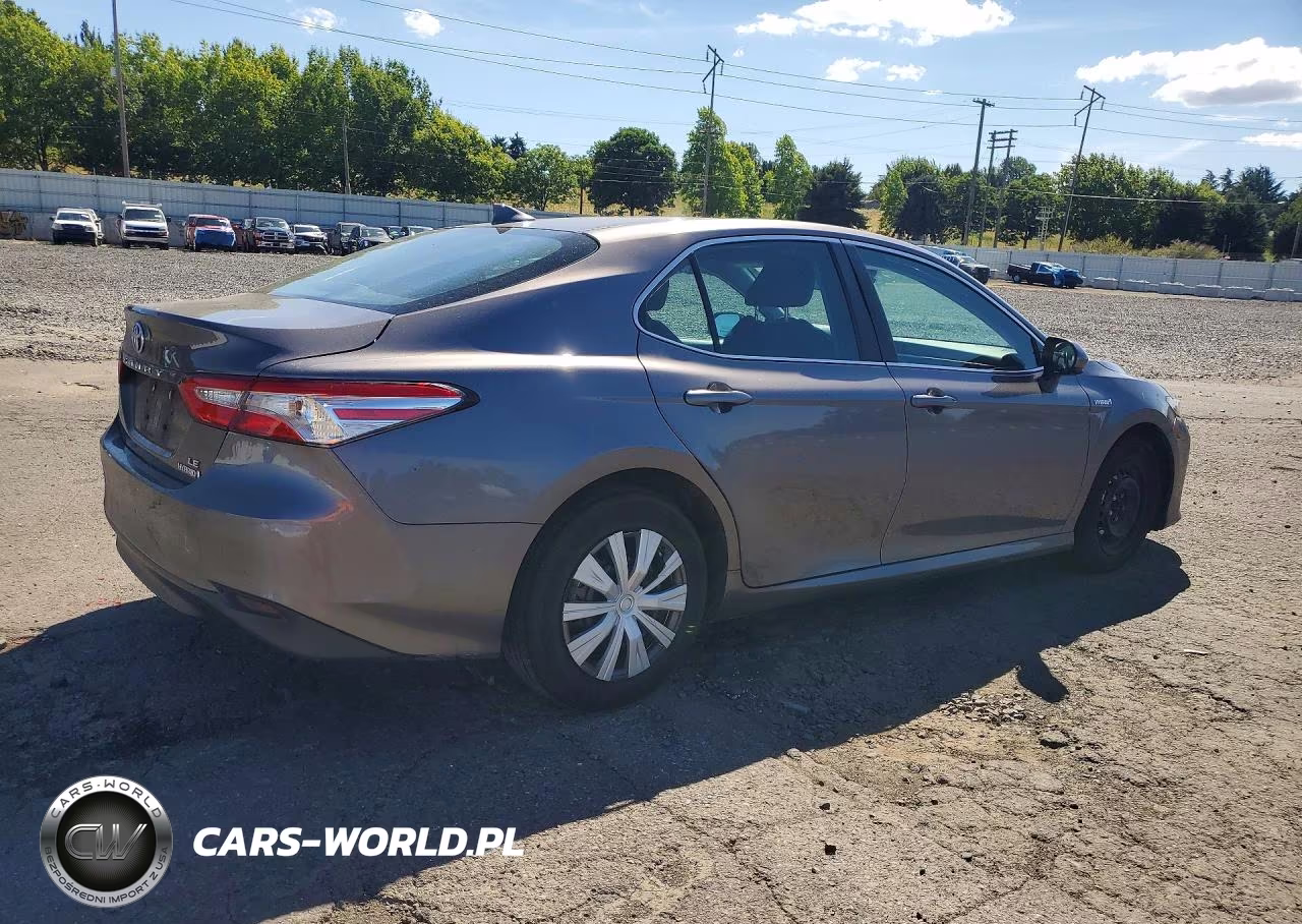 2020 Toyota Camry Le VIN:4T1C31AK5LU532816 - 3