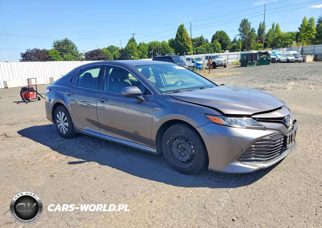 2020 Toyota Camry Le VIN:4T1C31AK5LU532816 - 4