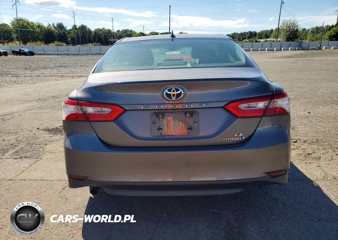 2020 Toyota Camry Le VIN:4T1C31AK5LU532816 - 6