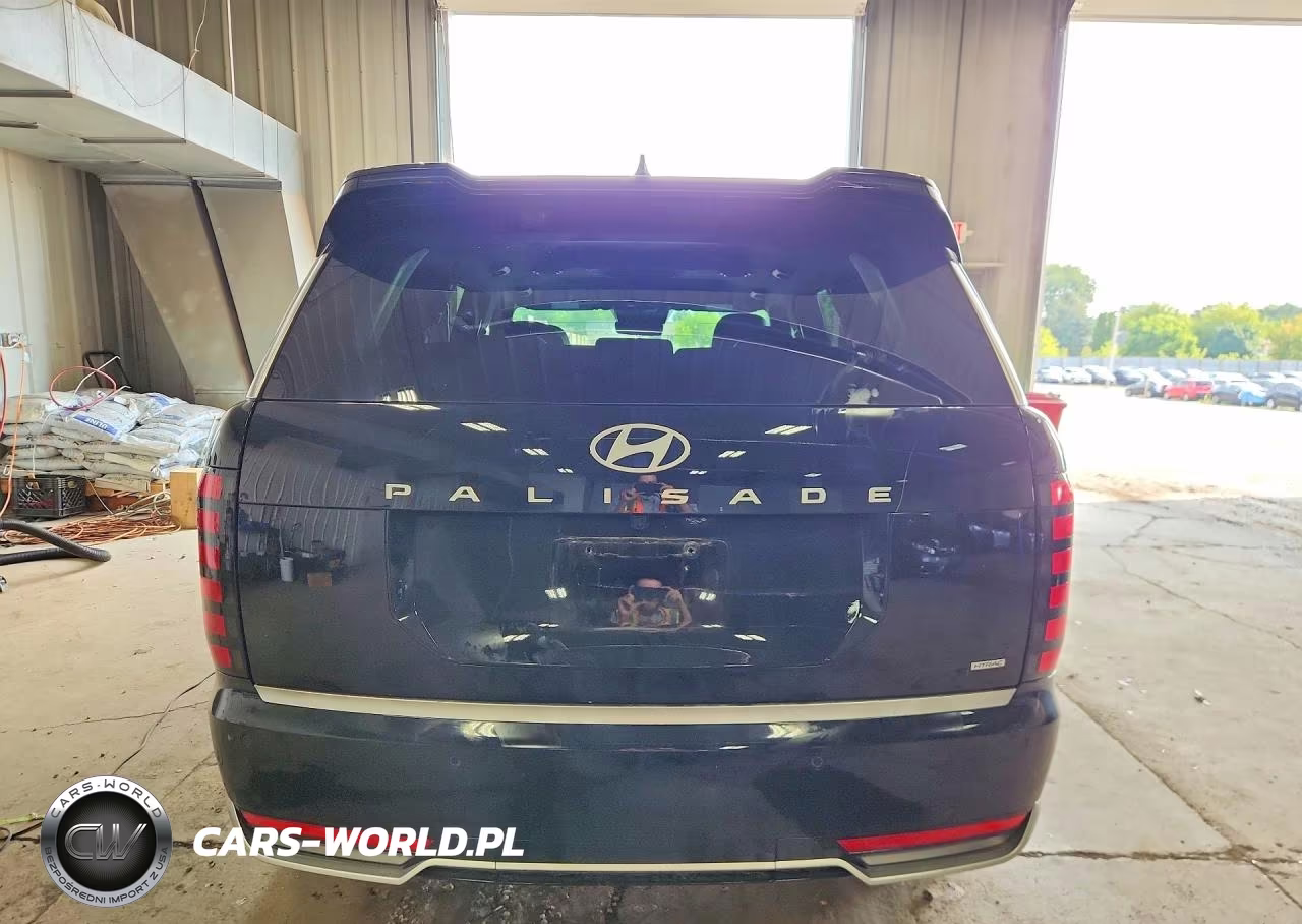 2026 Hyundai Palisade Calligraphy VIN:KM8RMES20TU020880 - 6