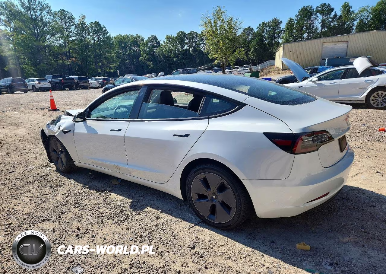2023 Tesla Model 3 VIN:5YJ3E1EA0PF587091 - 2