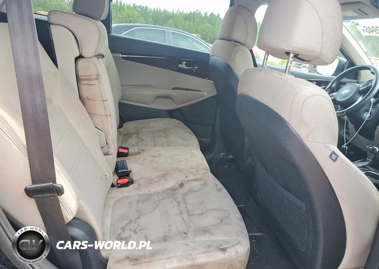 2017 Kia Sorento Lx VIN:5XYPG4A38HG224410 - 10