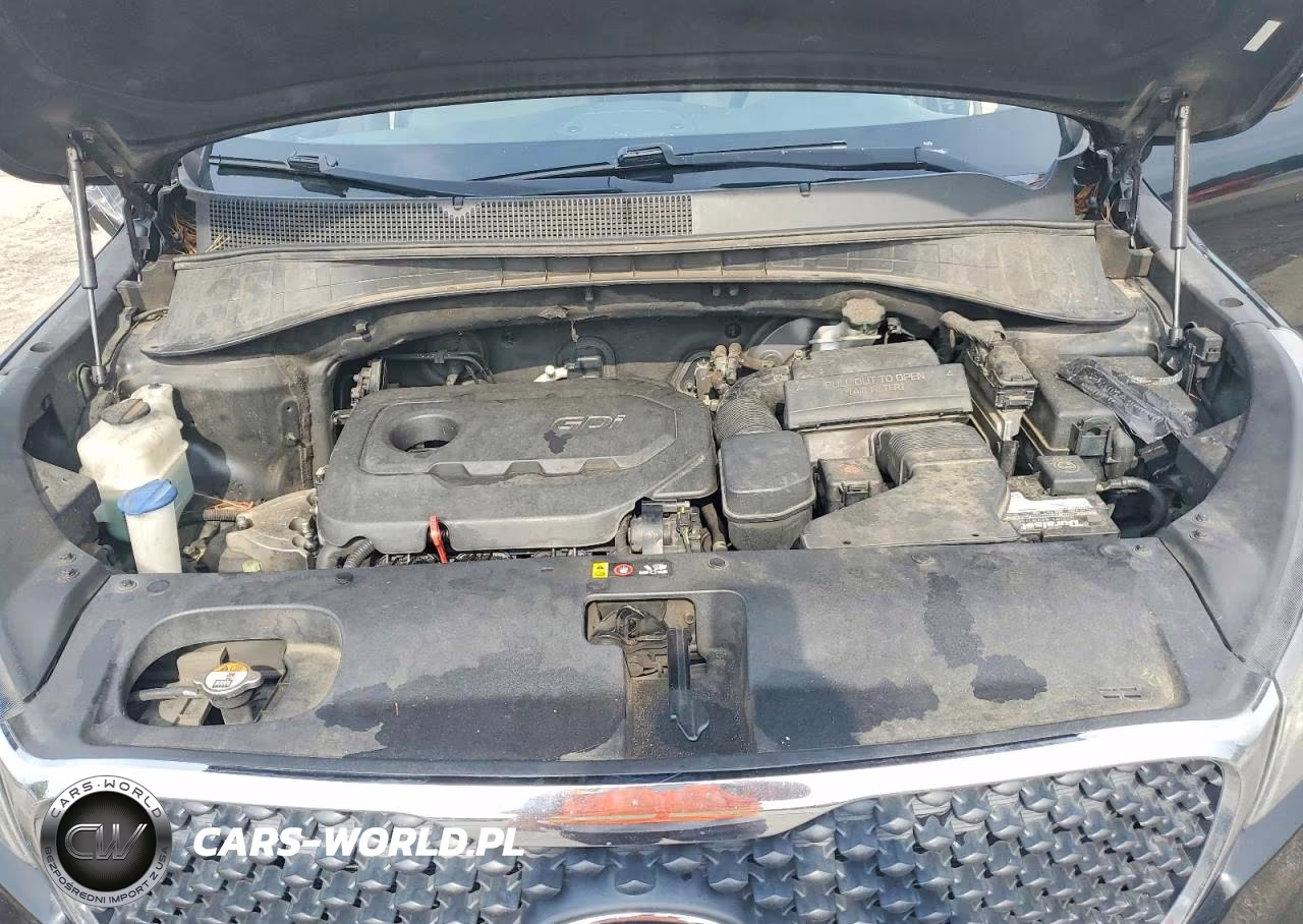 2017 Kia Sorento Lx VIN:5XYPG4A38HG224410 - 11