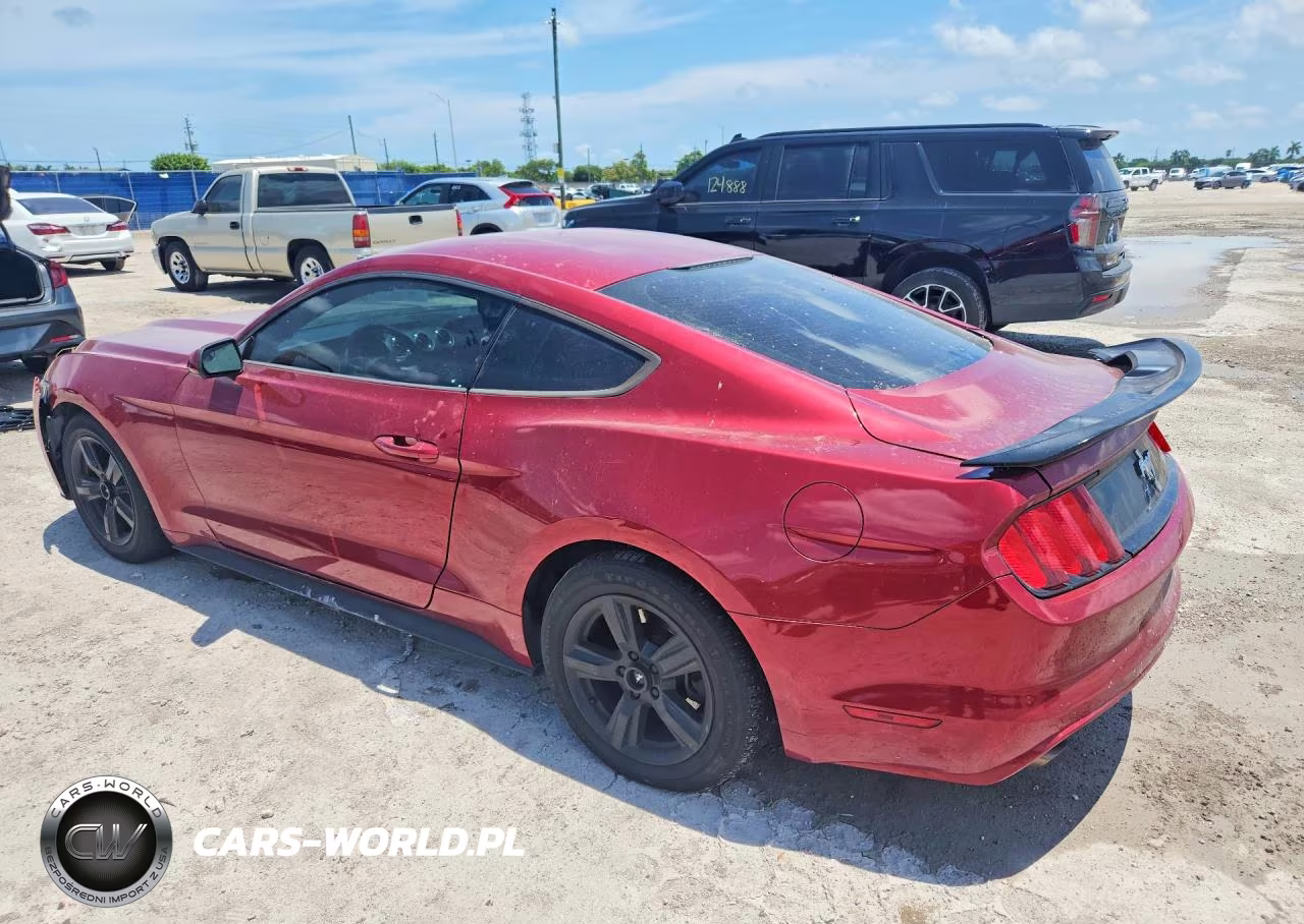 2017 Ford Mustang VIN:1FA6P8AM5H5280430 - 2