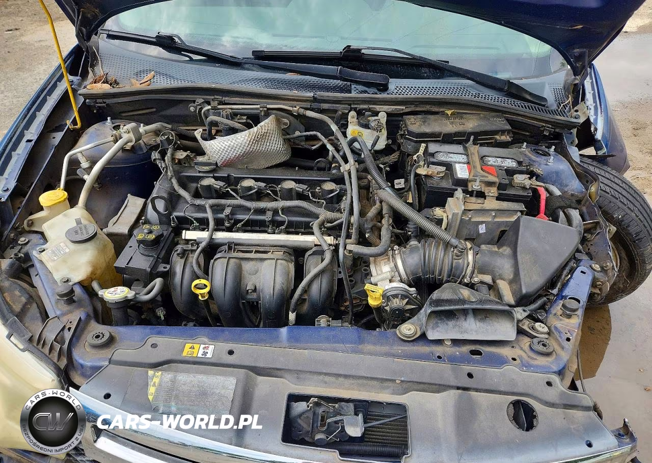 2009 Ford Focus Se VIN:1FAHP35N69W118817 - 11