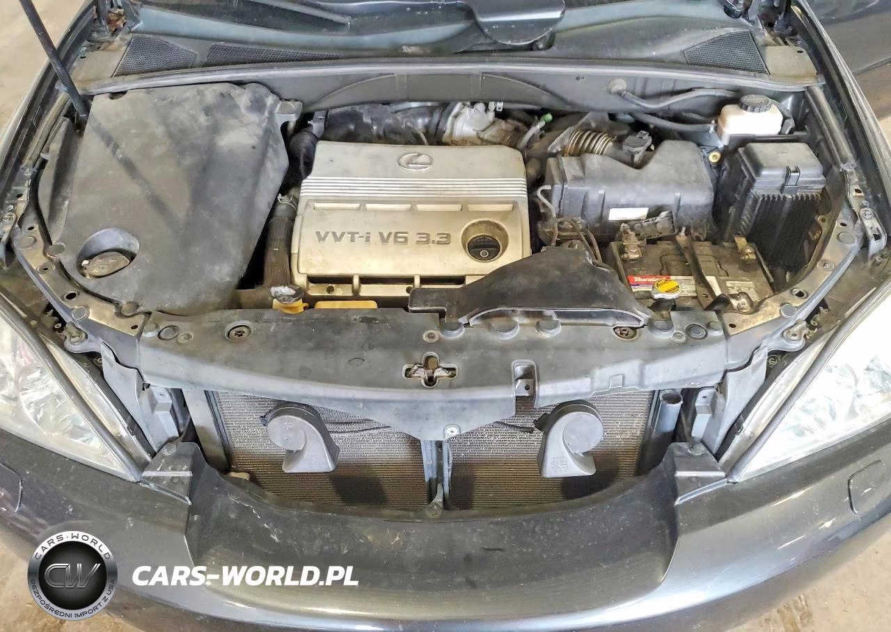 2006 Lexus Rx 330 VIN:2T2HA31U16C088408 - 12