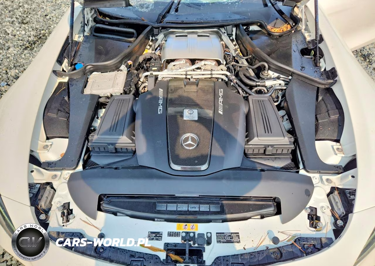 2020 Mercedes-Benz Amg Gt R VIN:WDDYJ7KA0LA025886 - 11