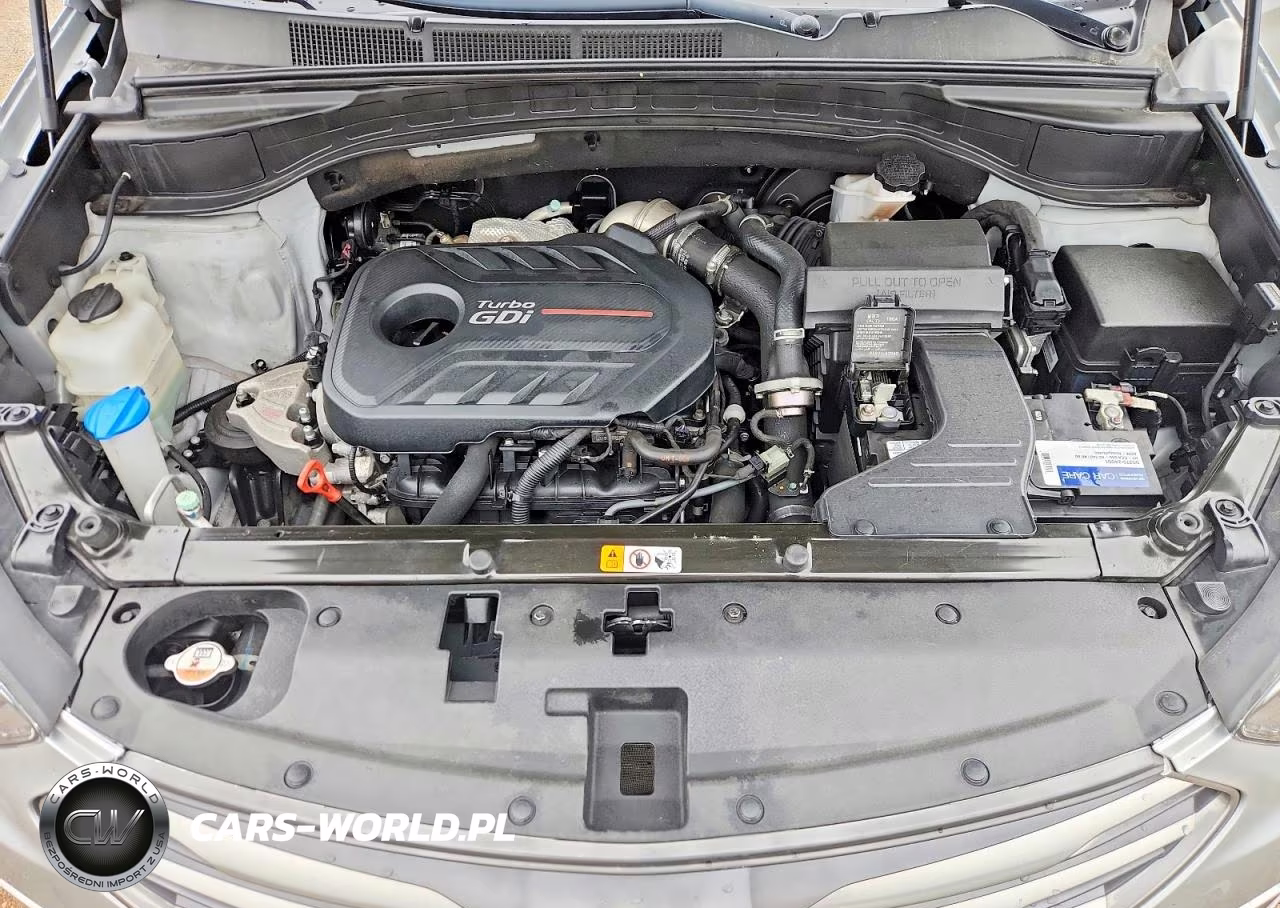2018 Hyundai Santa Fe Sport 2.0T VIN:5XYZUDLA4JG504781 - 12