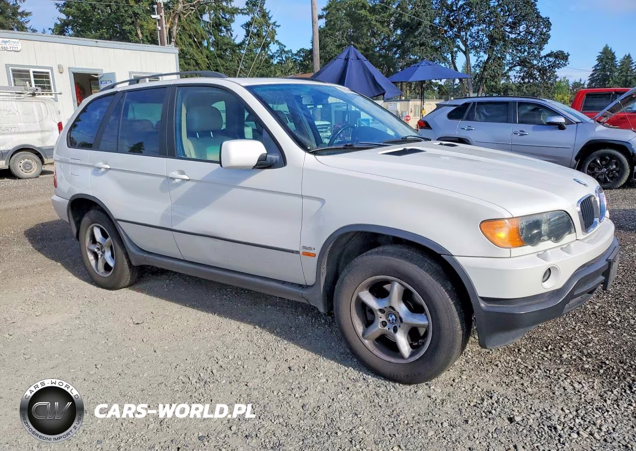 2002 BMW X5 3.0I VIN:5UXFA53572LP35361 - 4