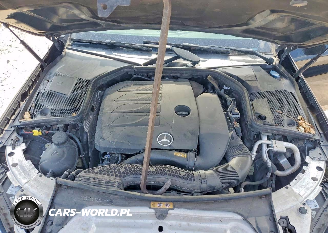 2019 Mercedes-Benz C 300 VIN:55SWF8DB7KU294504 - 11