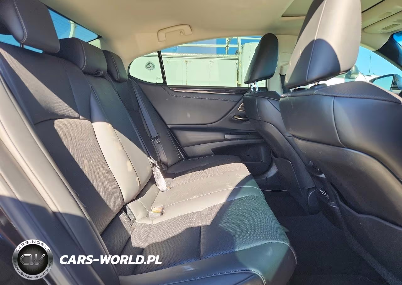 2020 Lexus Es 300H VIN:58AD21B11LU005300 - 10