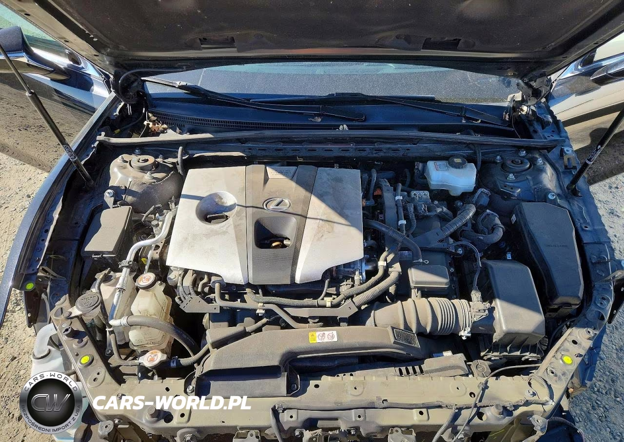 2020 Lexus Es 300H VIN:58AD21B11LU005300 - 11