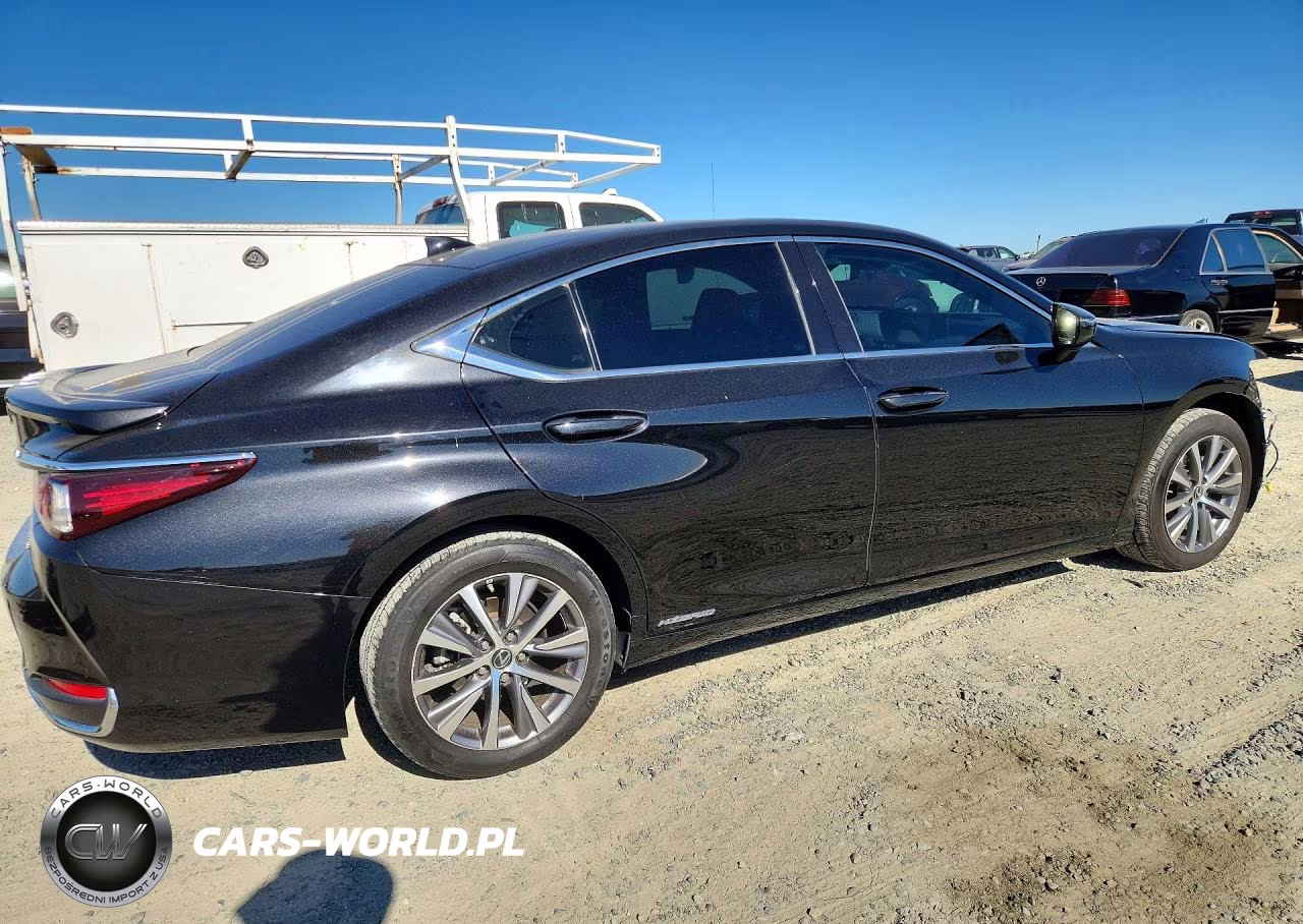 2020 Lexus Es 300H VIN:58AD21B11LU005300 - 3