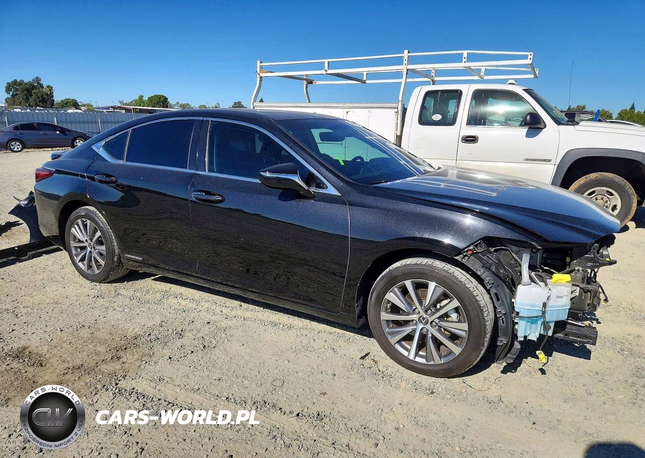 2020 Lexus Es 300H VIN:58AD21B11LU005300 - 4