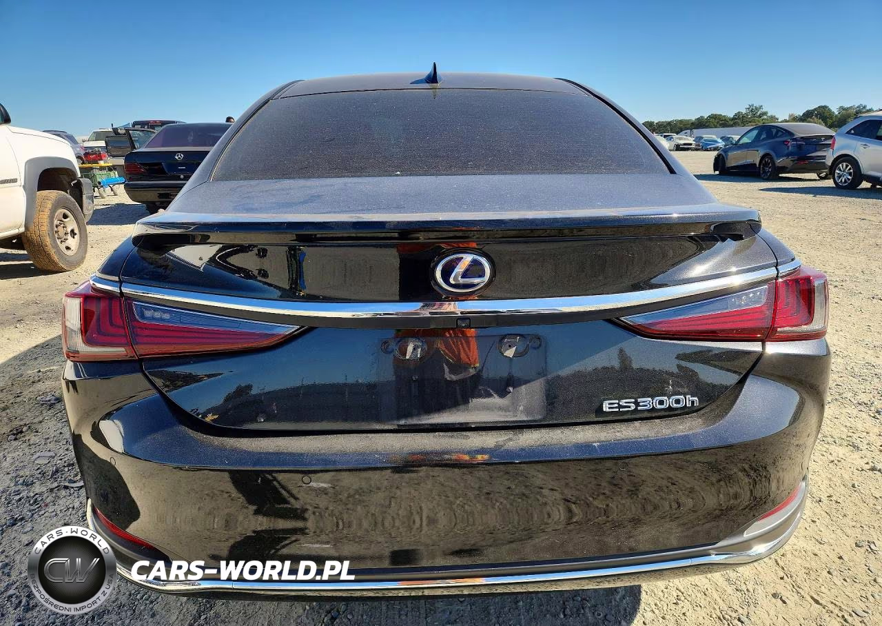 2020 Lexus Es 300H VIN:58AD21B11LU005300 - 6