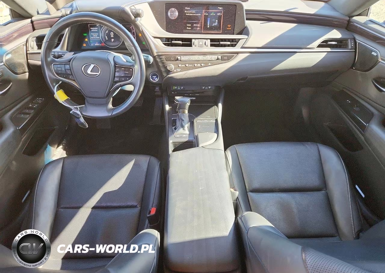 2020 Lexus Es 300H VIN:58AD21B11LU005300 - 8