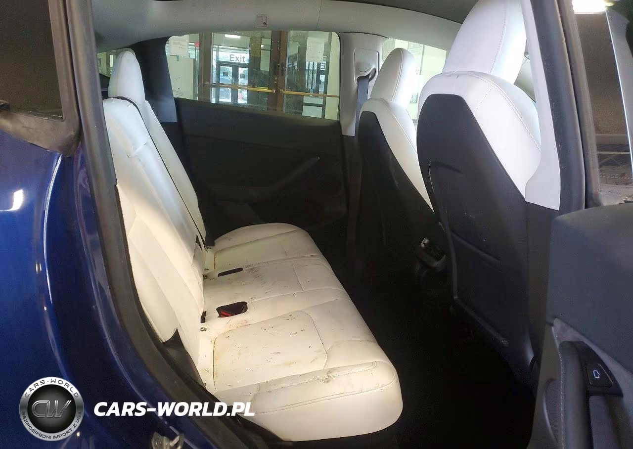 2024 Tesla Model Y VIN:7SAYGDEF1RF027907 - 10