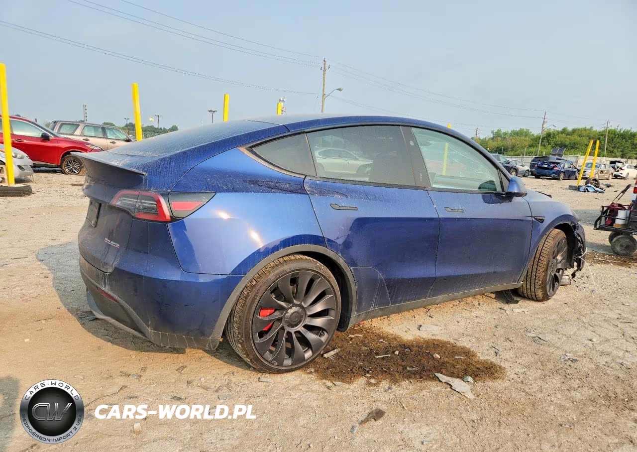 2024 Tesla Model Y VIN:7SAYGDEF1RF027907 - 3
