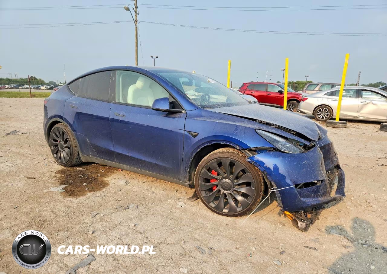 2024 Tesla Model Y VIN:7SAYGDEF1RF027907 - 4