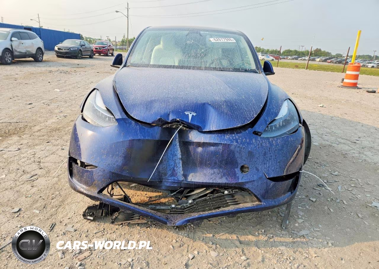 2024 Tesla Model Y VIN:7SAYGDEF1RF027907 - 5