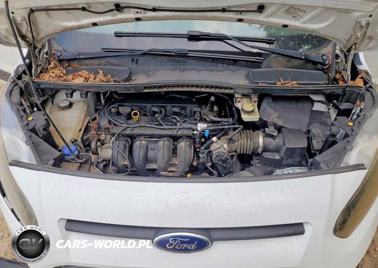 2014 Ford Transit Connect Xl VIN:NM0LE6E79E1142384 - 12