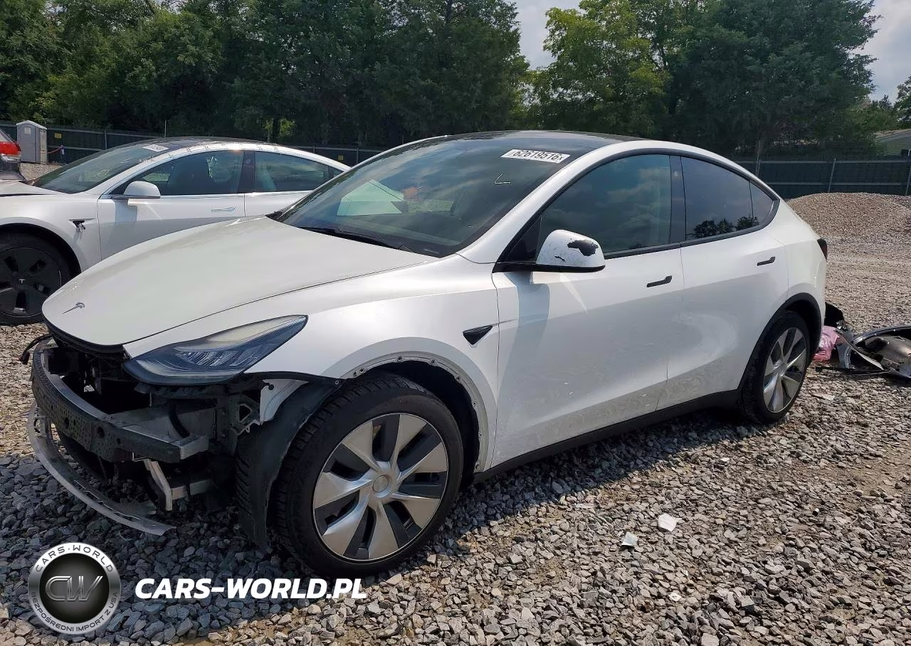 2020 Tesla Model Y